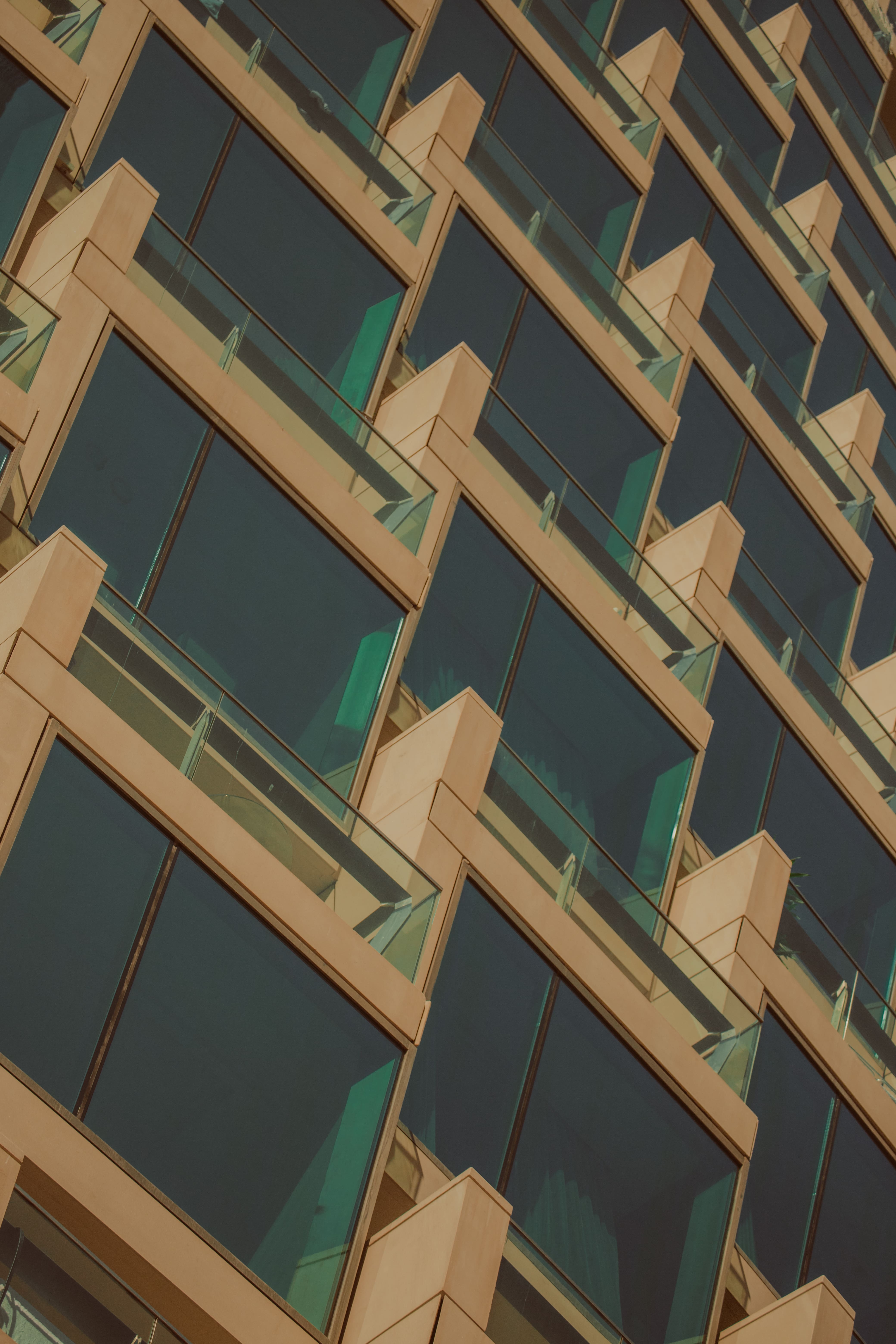 thegrid